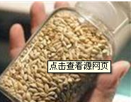 江苏新金威麦芽集团有限公司