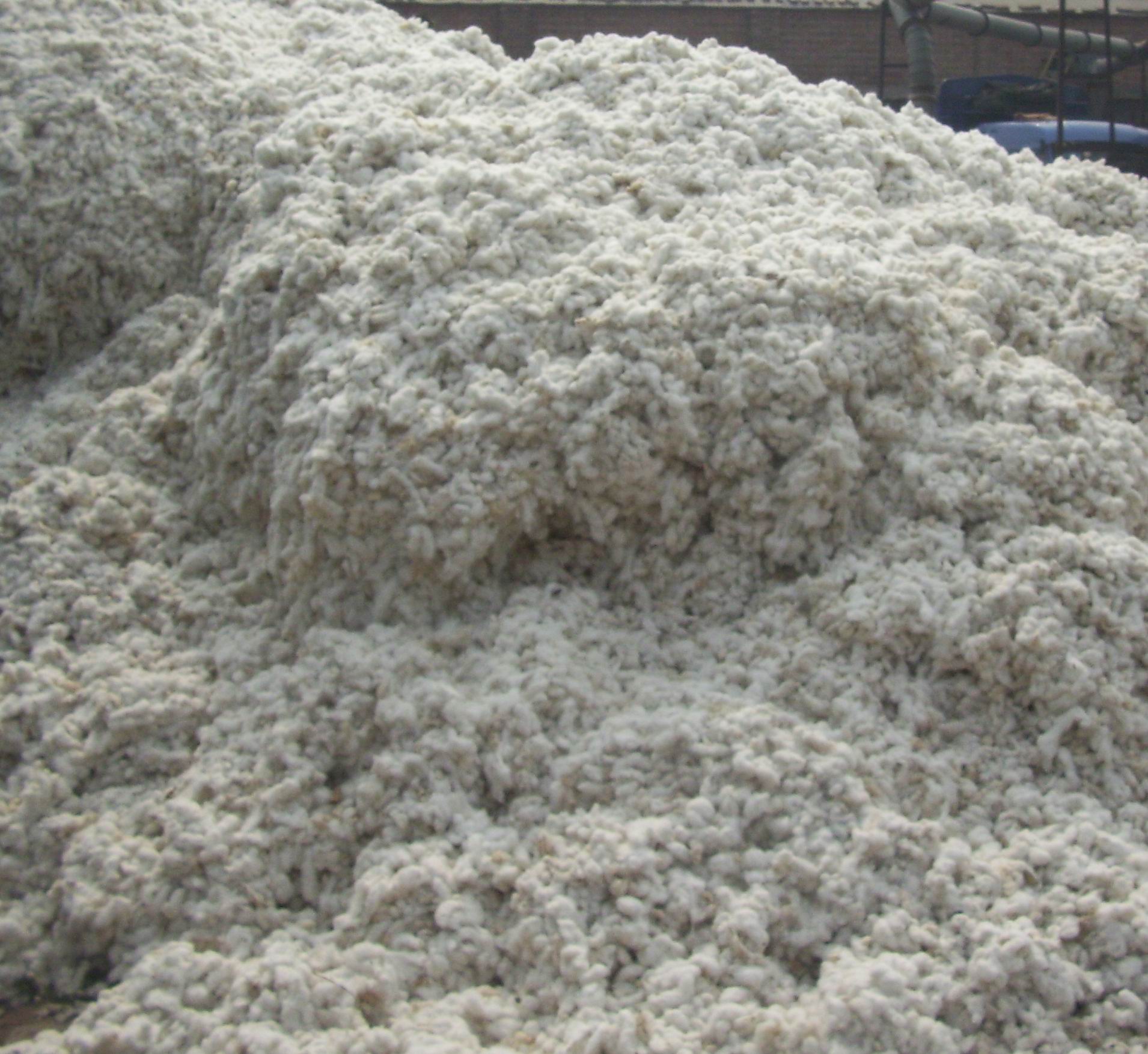 射阳侨谊纺织有限公司一分厂