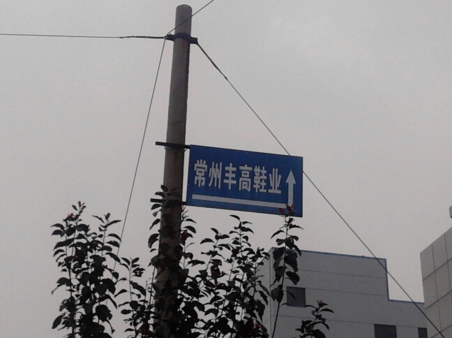 常州市丰高鞋业有限公司