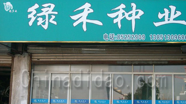 绿禾种业
