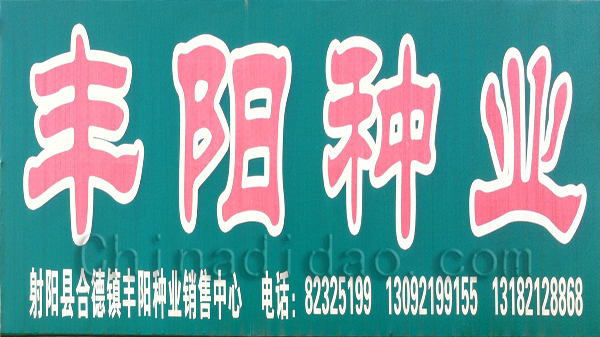 丰阳种业销售中心