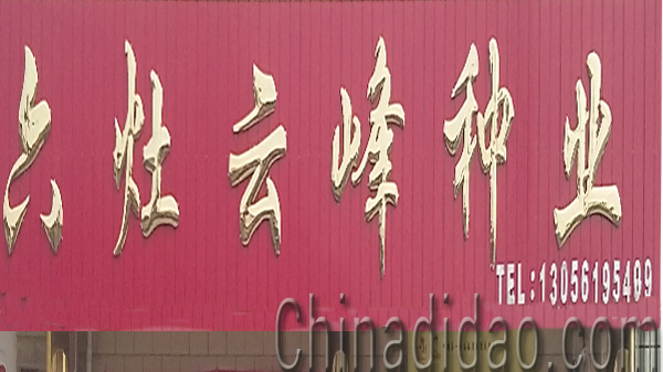 东台市头灶镇六灶小街云峰种业