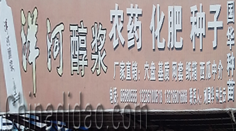 江苏省弶港农场国华种苗