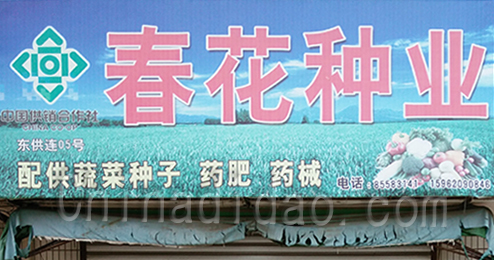 东台市富东春花种业