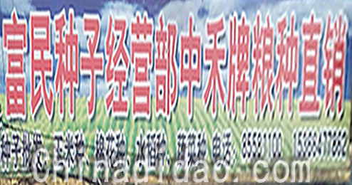 东台市富安镇富民种子经营部