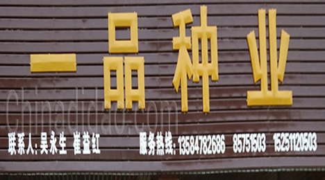 东台市新街镇一品种业