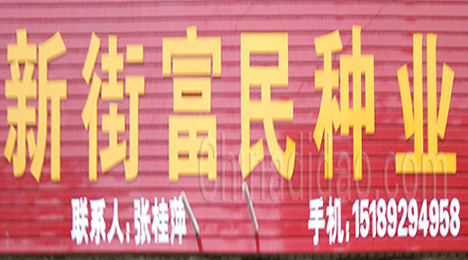 东台市新街镇富民种业