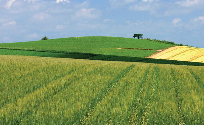盐城市盐都区潘黄农业特种经济作物专业合作社