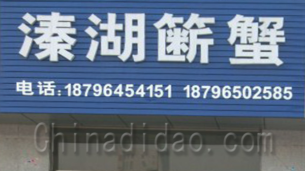 溱湖螃蟹
