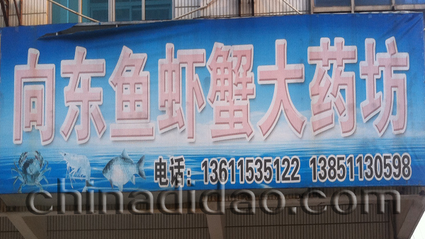 向东鱼虾大药房