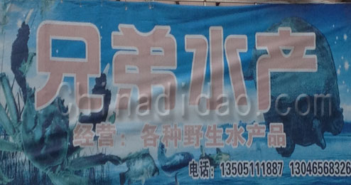 东台市五烈镇广山小街兄弟水产