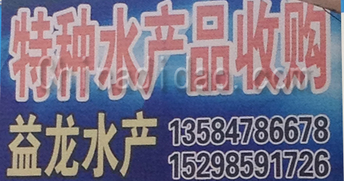 东台市头灶镇特种水产品收购