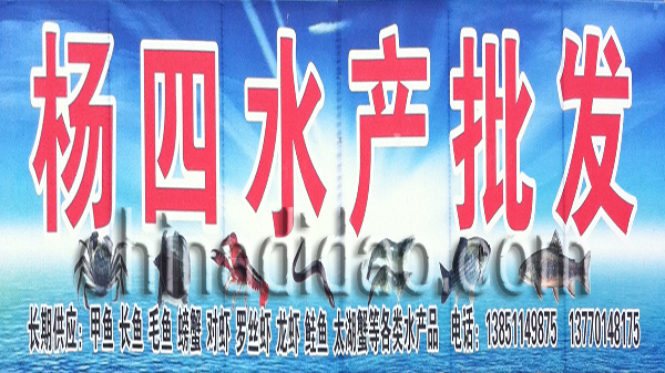 杨四水产批发
