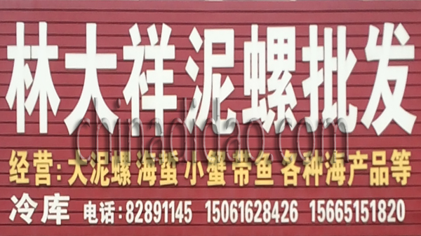 林大祥泥螺批发