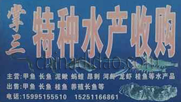 特种水产收购