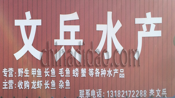 文兵水产