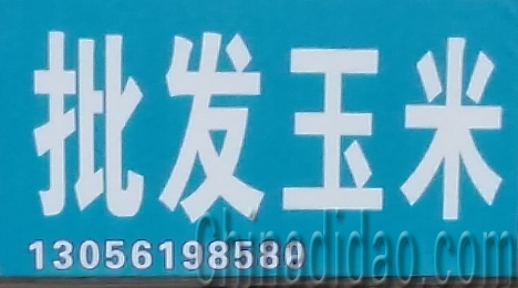 东台市唐洋镇批发玉米