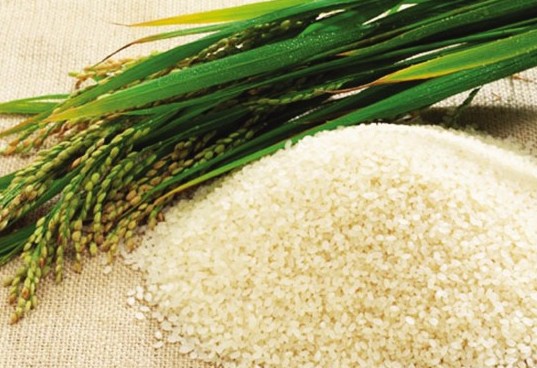 江苏省农垦米业集团有限公司临海分公司