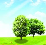 江苏亚邦三博节能投资有限公司