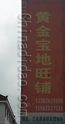 东台市三仓镇黄金宝地旺铺