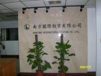 南京国际租赁有限公司