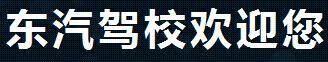 东汽驾校—王进