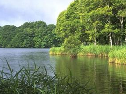 盐城市春晖旅行社有限公司