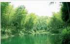 溧阳市天目湖南山竹海旅游有限公司