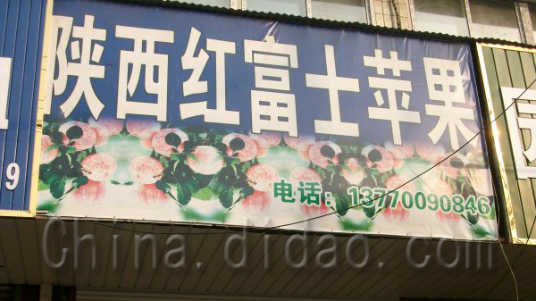 陕西红富士苹果