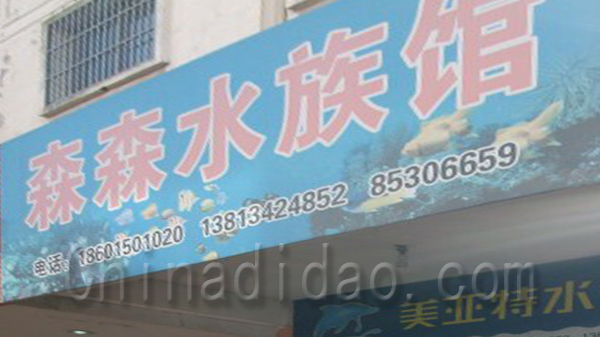 森森水族馆