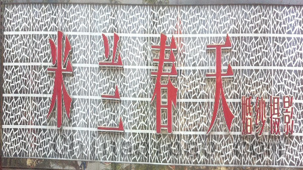 米兰春天  婚纱摄影