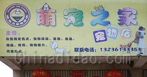 东台市三仓镇萌宠之家宠物店