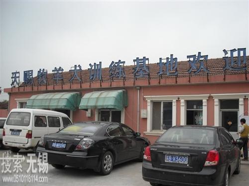 锡山区天赐牧羊犬训练基地