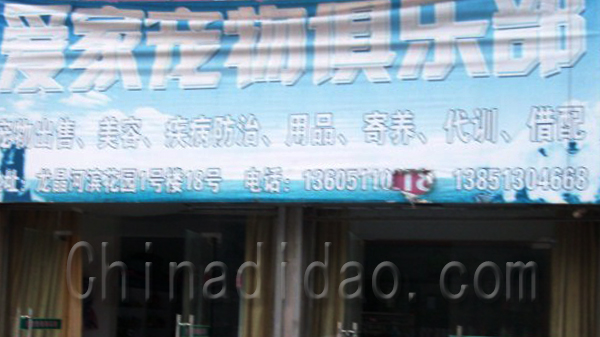 爱家宠物俱乐部