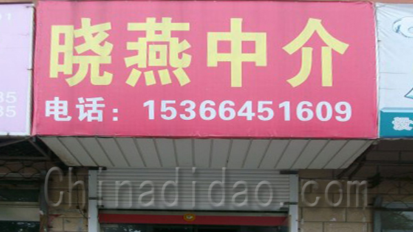 晓燕中介