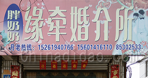 东台市三仓镇缘牵婚介所