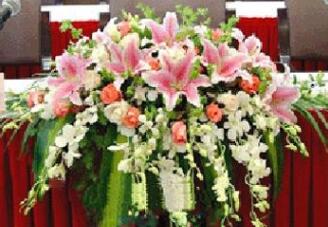 常州市武进区湖塘芬妮兰花都商店