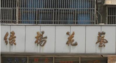常州市绿杨花艺中心