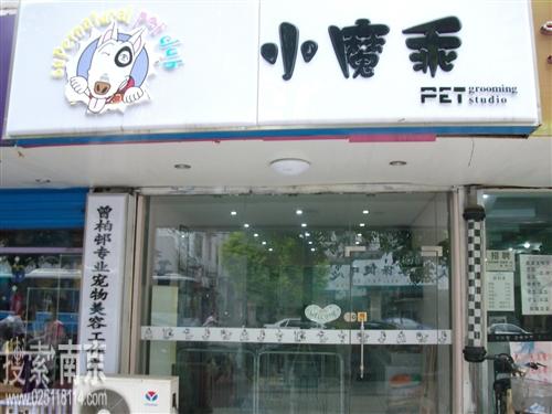 小魔乖宠物生活馆