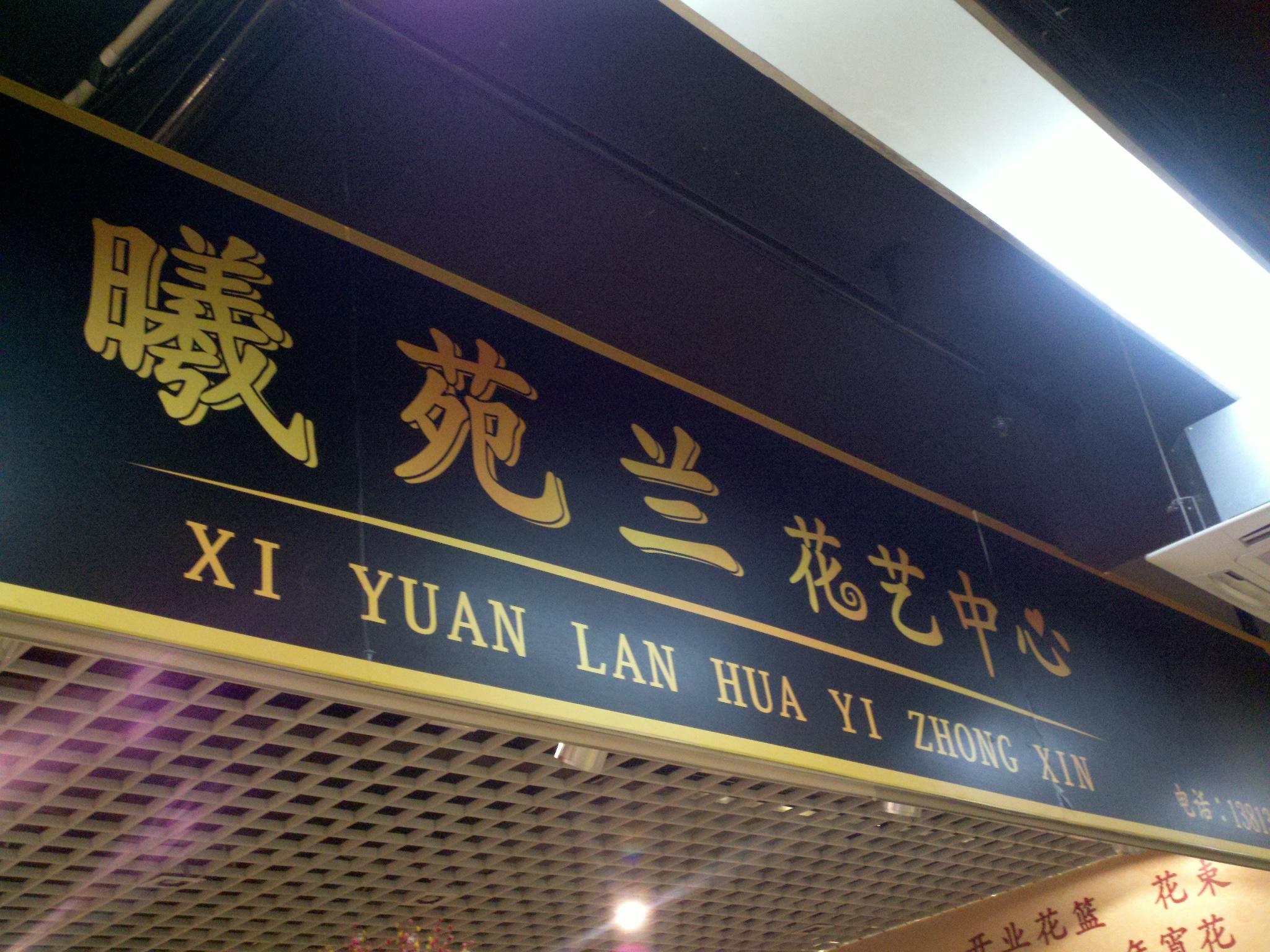 曦苑兰花艺中心