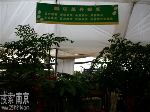 耀匀达花卉经营部