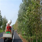 常州飞克杀虫消毒服务有限公司