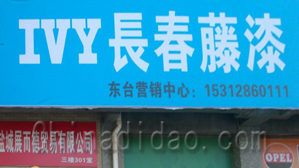 IVY长春藤漆