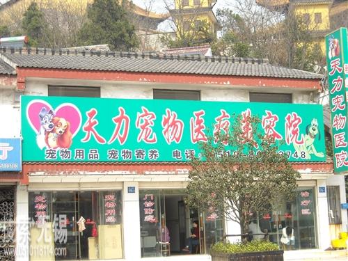 江阴市天力宠物医疗美容院