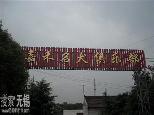 嘉禾名犬俱乐部