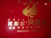 凤凰岛整形机构