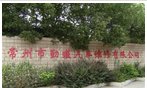 常州市勤瑾汽车维修有限公司