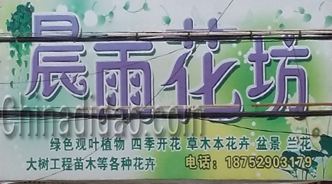 东台市三仓镇晨雨花坊
