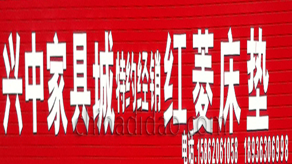 兴中家具城 红菱床垫