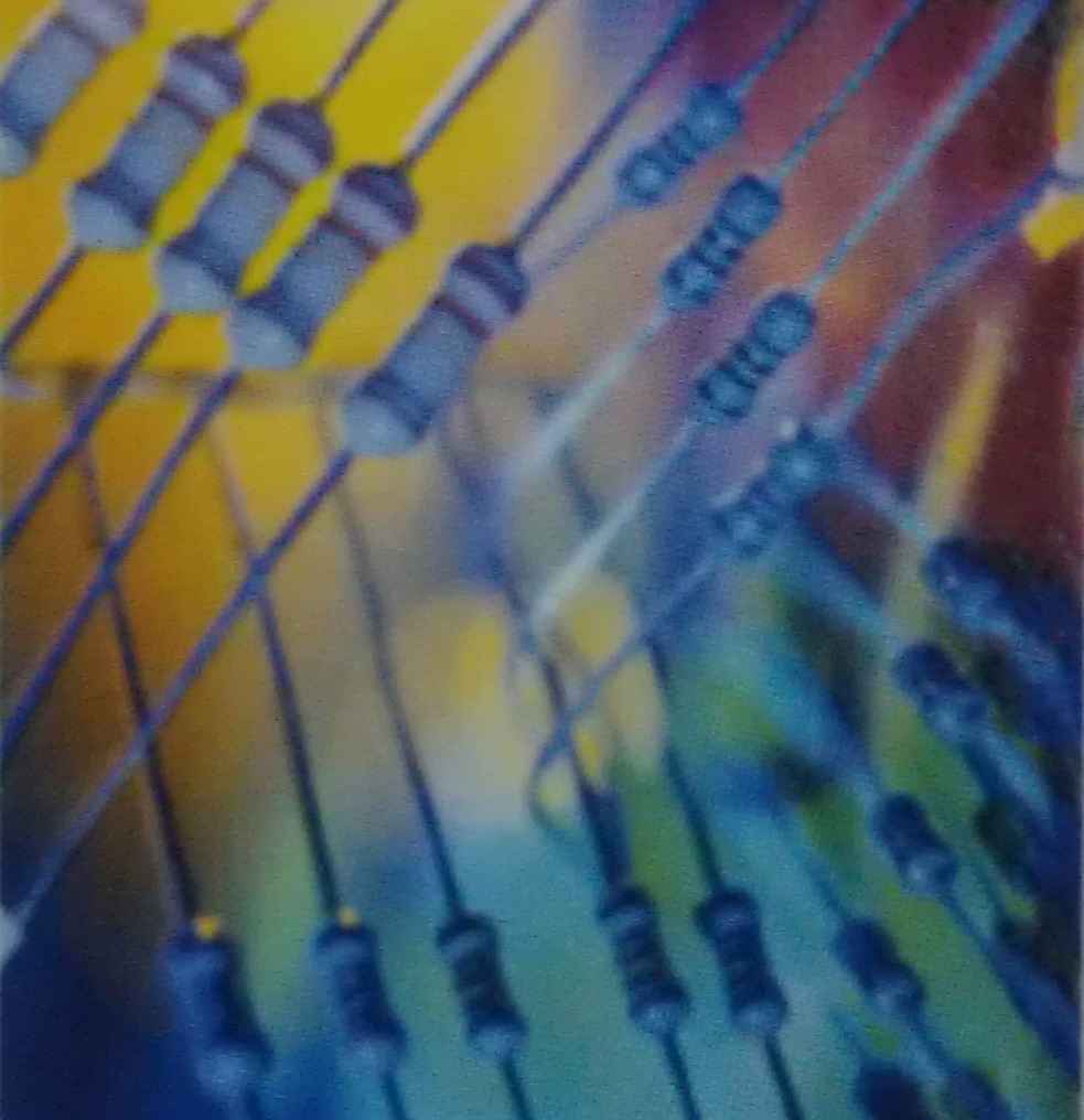 常州泽洋电子有限公司